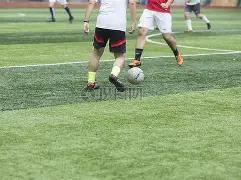 阿劳霍获弗,里克信任,成功入选参,一号娱乐官网,一号娱乐平台,一号娱乐体育,一号娱乐